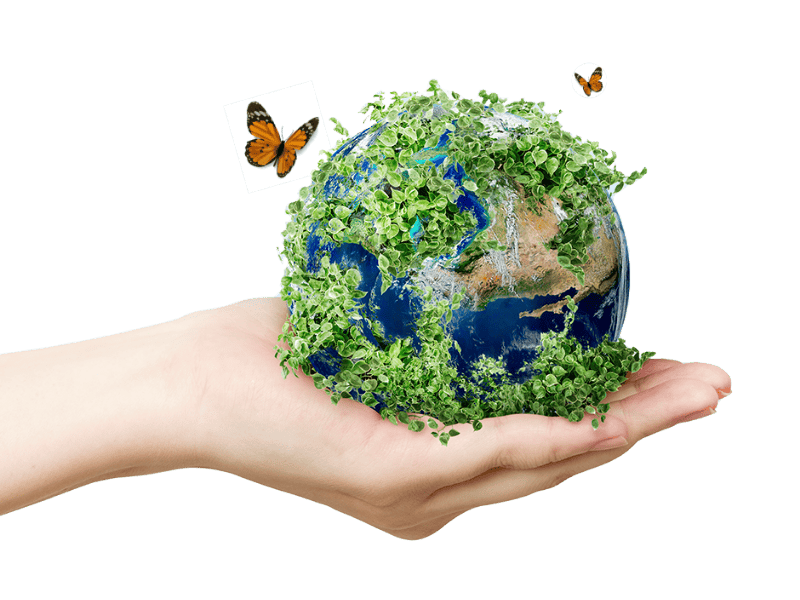 พลังงาน เพื่อสิ่งแวดล้อม